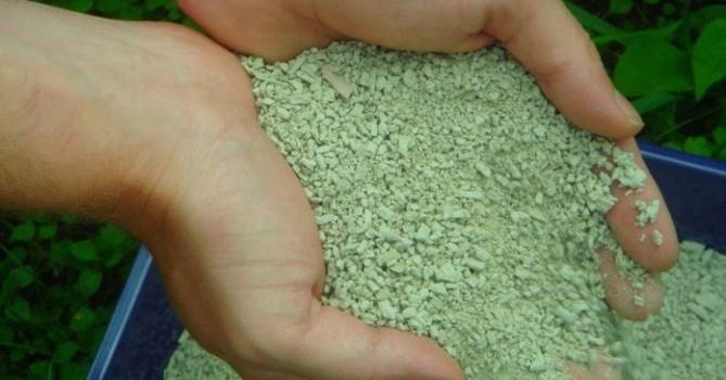 Aspecto dos grânulos da argila ionicamente modificada Phoslock®