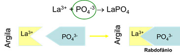 Figura 2 - Demonstração da ligação iônica entre o elemento lantânio, presente na estrutura da argila, e os íons de ortofosfato na água.